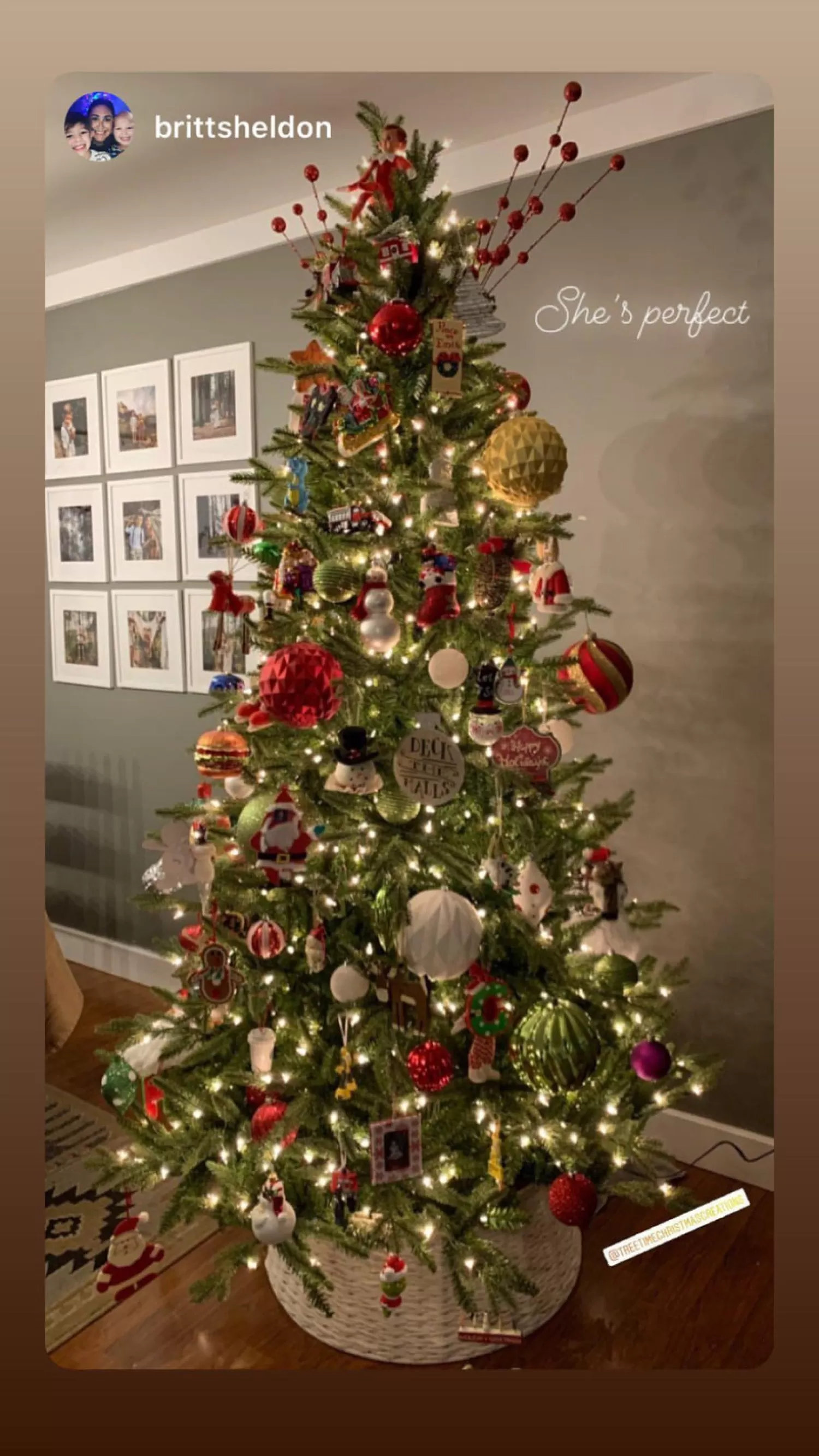 Discount Treetime 10' Sierra Mountain Spruce Tree - ColorChange LED