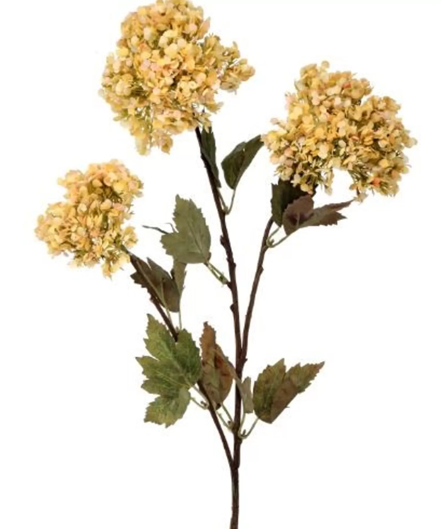 Discount Treetime 31" DRYING SNOWBALL SPRAY, Creamy Butter