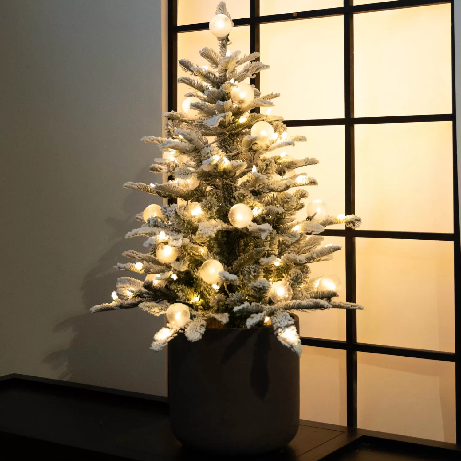 Discount Treetime 3' Anaheim Fir Potted Tree - Clear LED ColorChange Lights