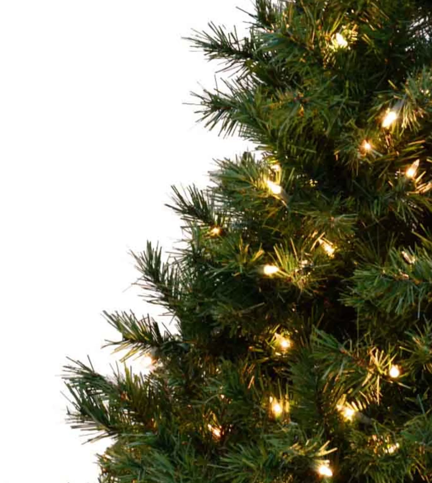 Outlet Treetime 4' Colorado Spruce Tree Multi