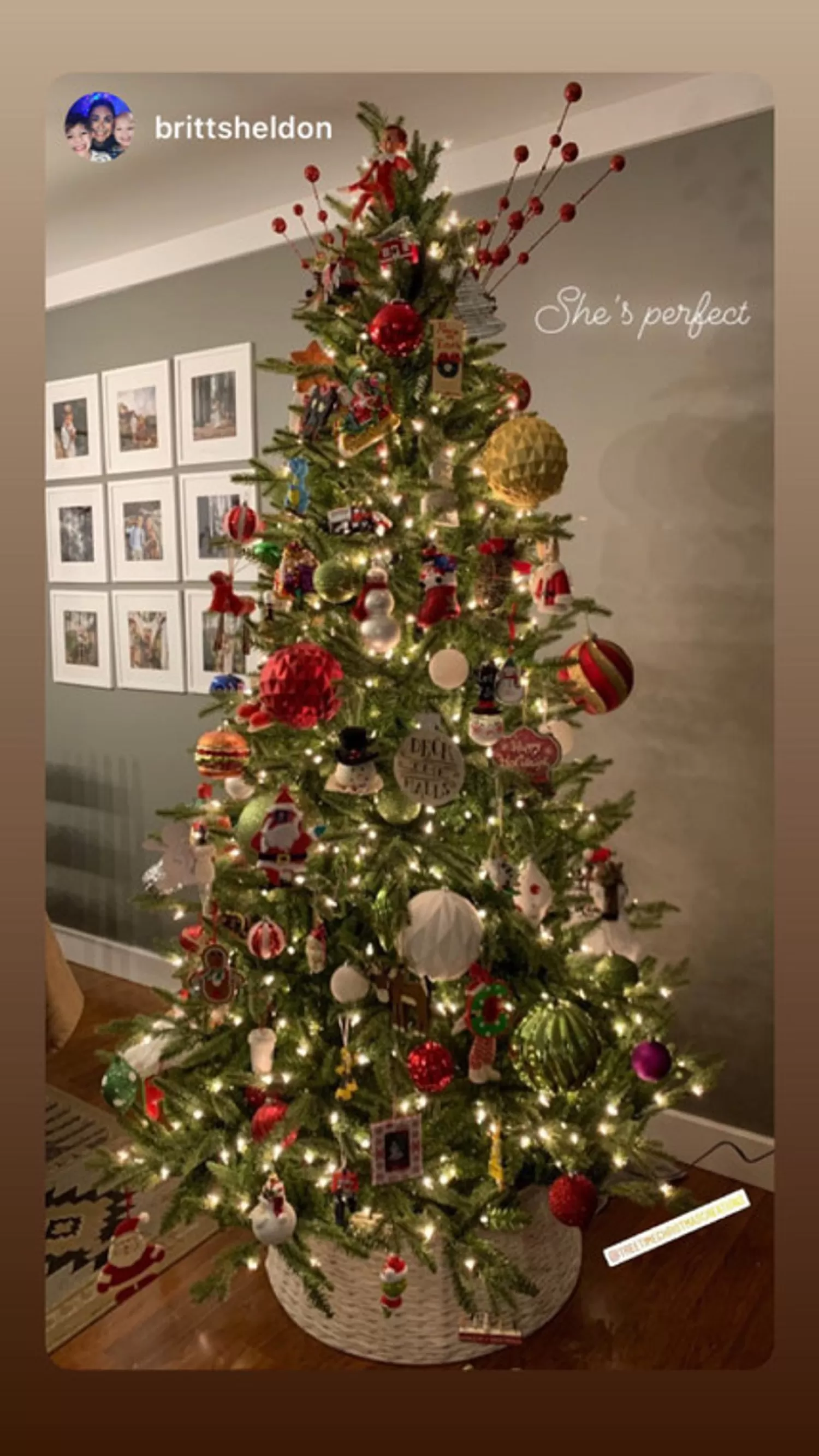 Flash Sale Treetime 7.5' Sierra Mountain Spruce Tree - ColorChange LED