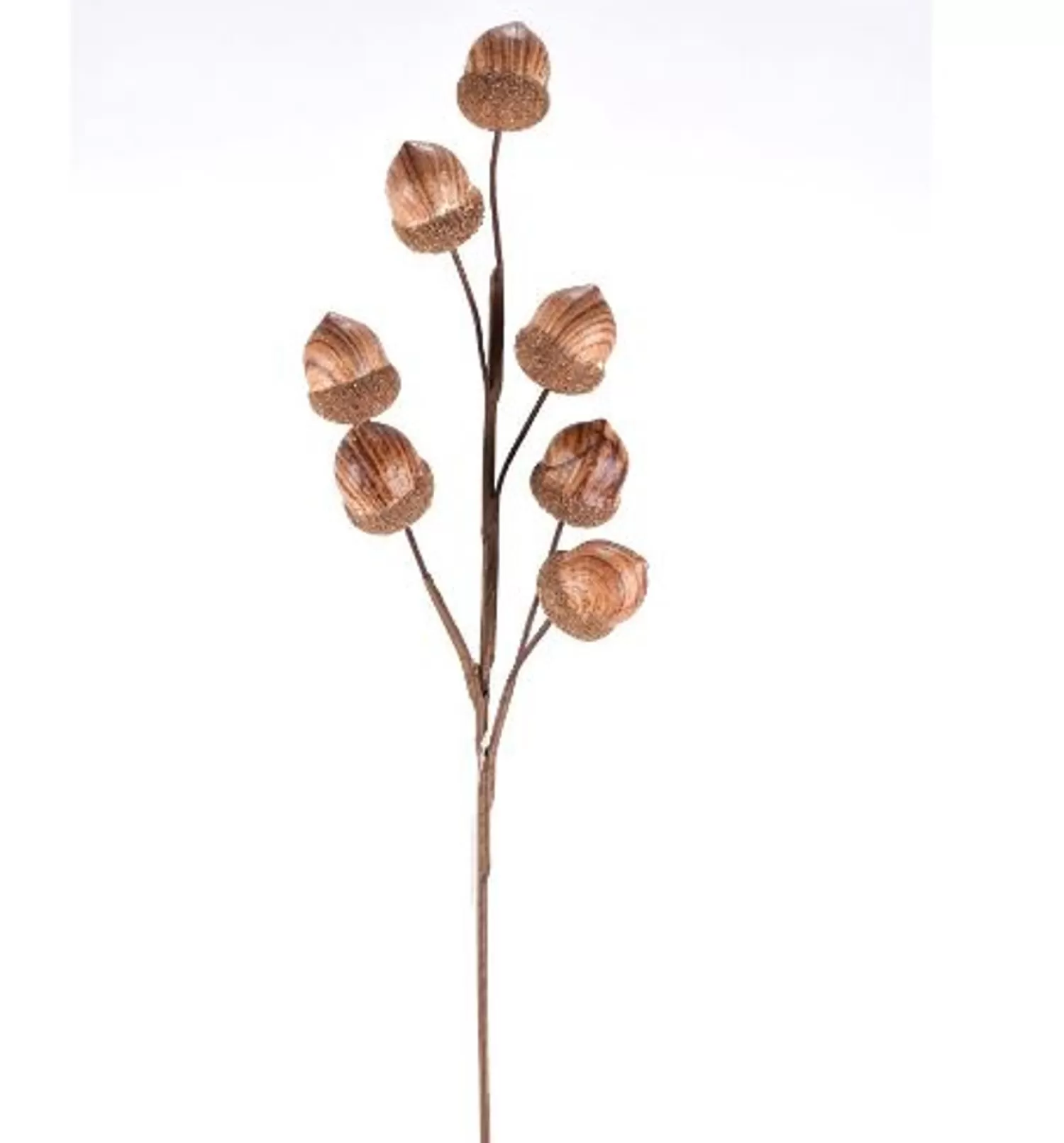 Discount Treetime ACORN SPRAY 25", NATURAL