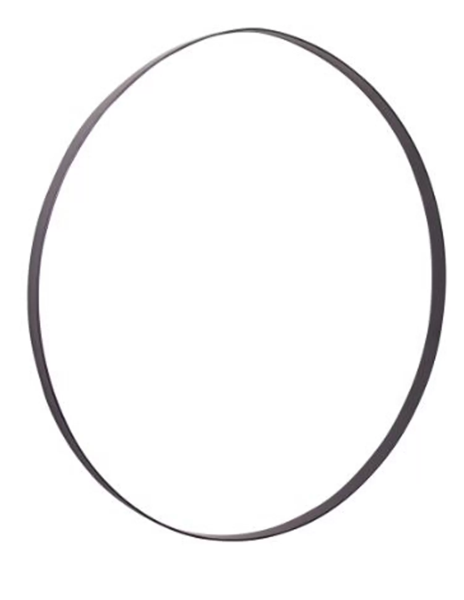 Store Treetime Black Iron Ring 12"