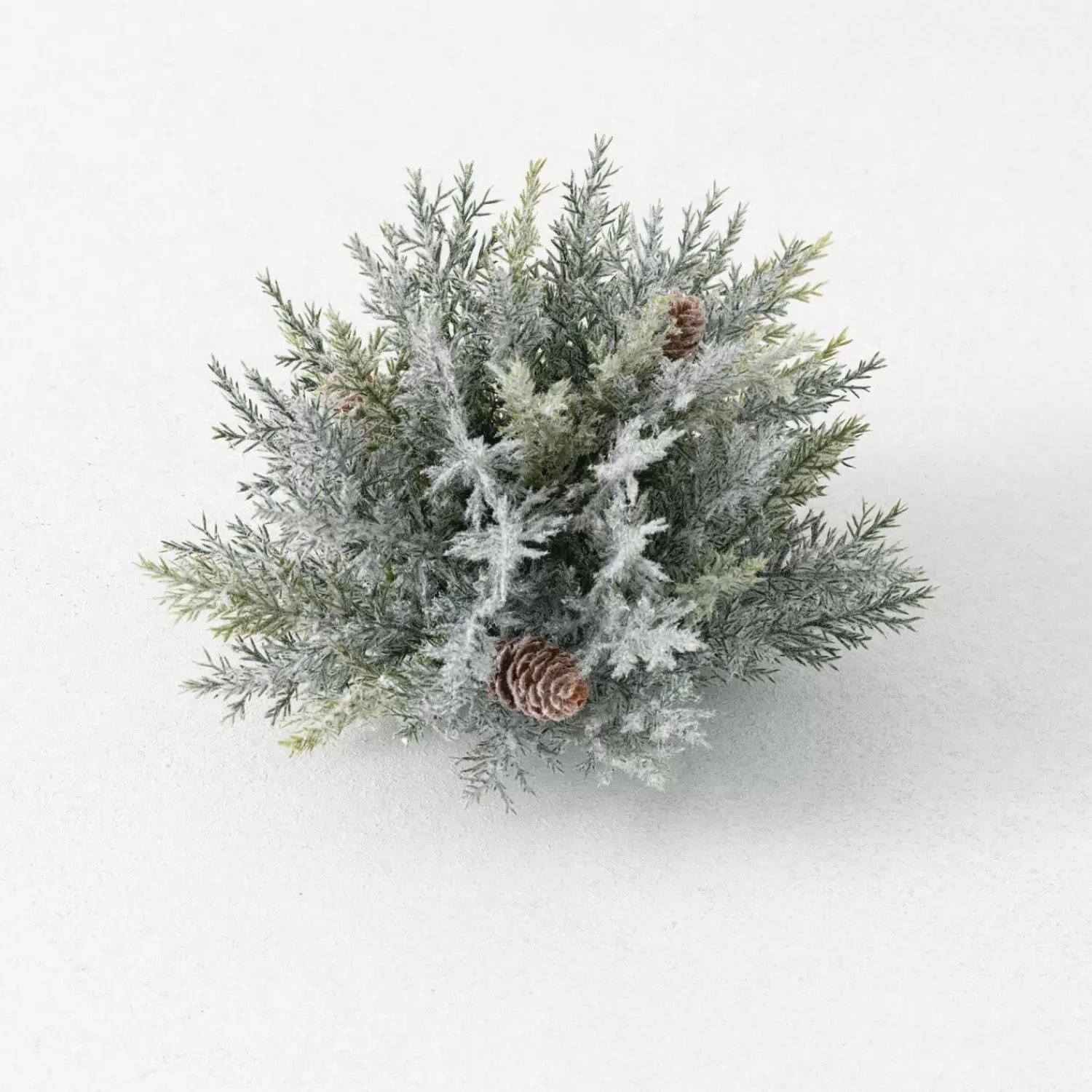 New Treetime Frosted Prickly Pine Half Orb