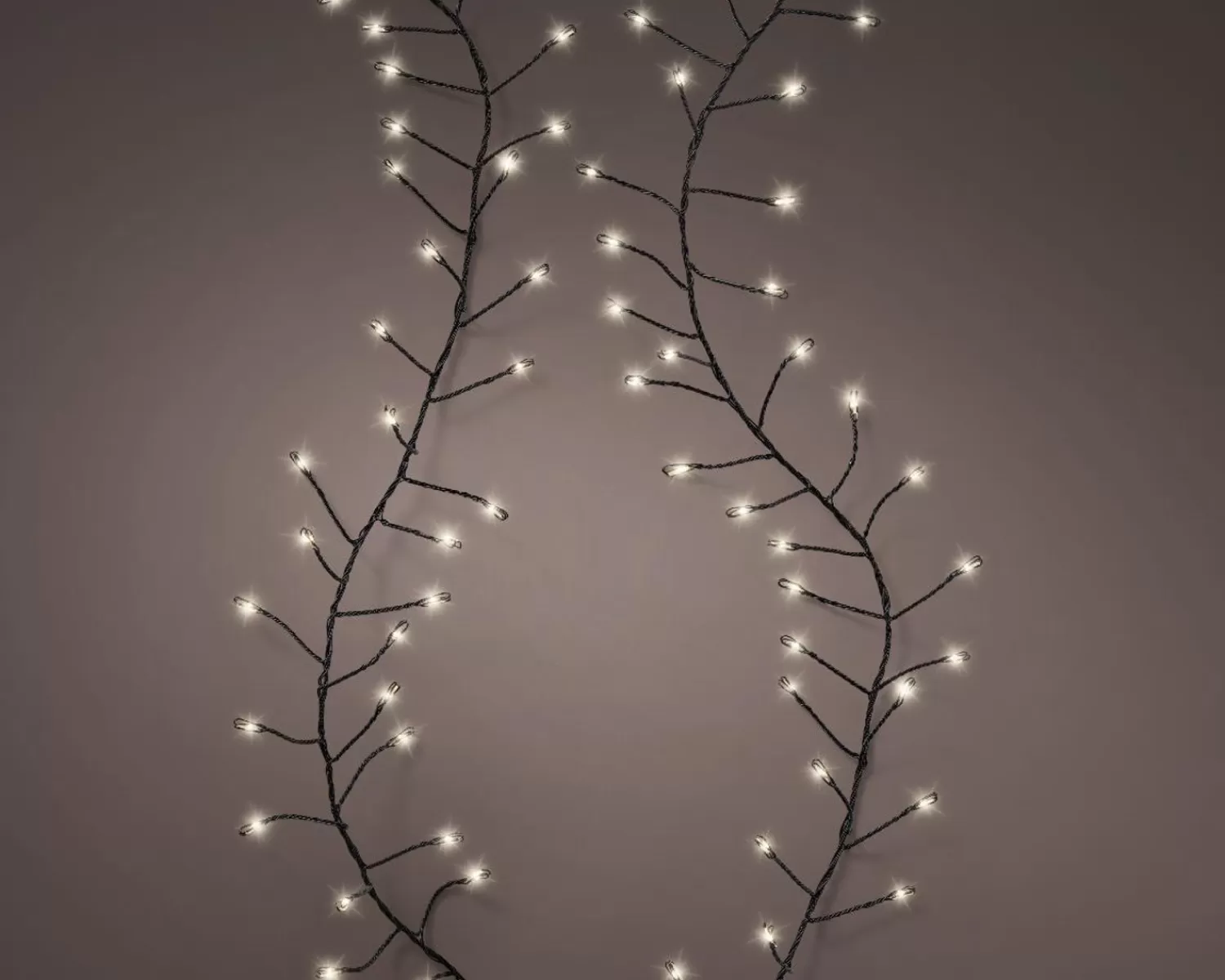 Sale Treetime LED Micro Warm White 19.7 Ft. Compact Lights On Black Wire